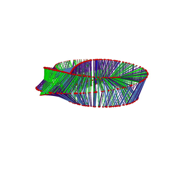 ./Twisted%20Prismatic%20Ring_html.png